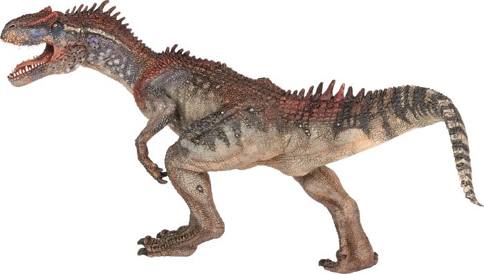 Allosaurus, Nr: 55078