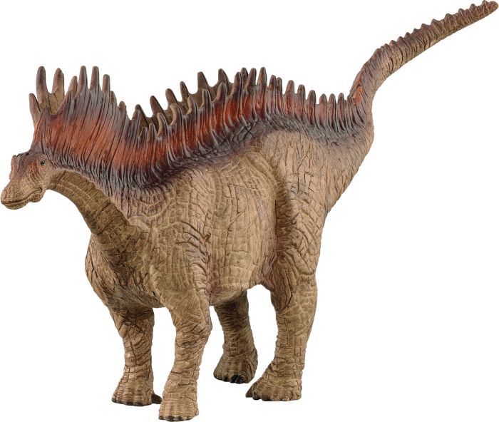 Amargasaurus, Nr: 15029
