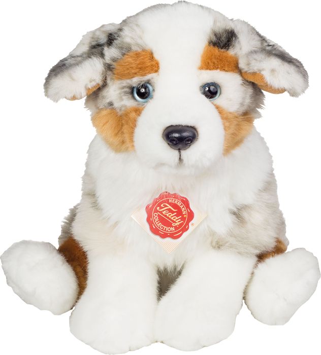 Australian Shepherd Welpe, ca. 22cm, Nr: 919353