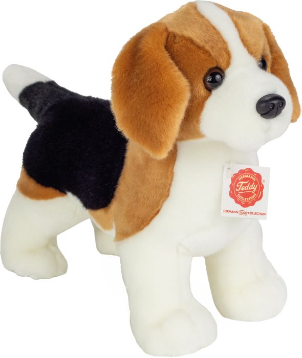 Beagle stehend, ca. 26cm, Nr: 919544
