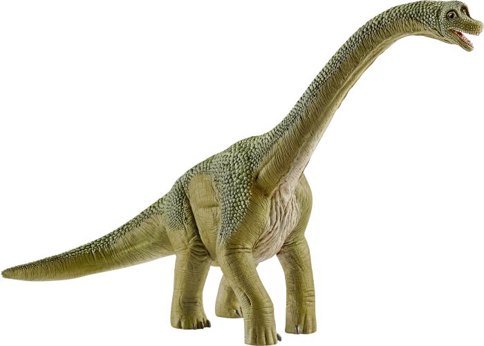 Brachiosaurus, Nr: 14581