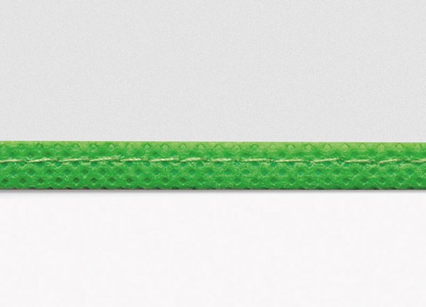 Buchhülle 240 mit Lasche grün grüner Rand