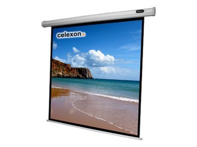 CELEXON Leinwand Motor Economy 200x200 cm inkl Steuerbox und IR Fernbedienung s