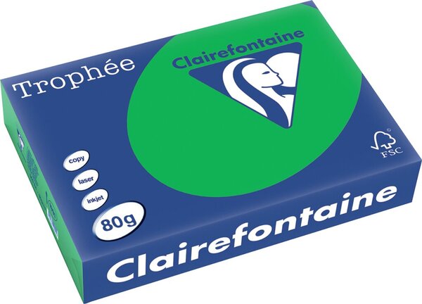 Clairalfa Multifunktionspapier Trop hée, A4, billardgrün (8010041)