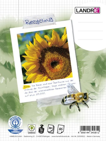 Collegeblock "RC", A5 , 80 Blatt, kariert, 70 g/qm, 6fach gelocht,