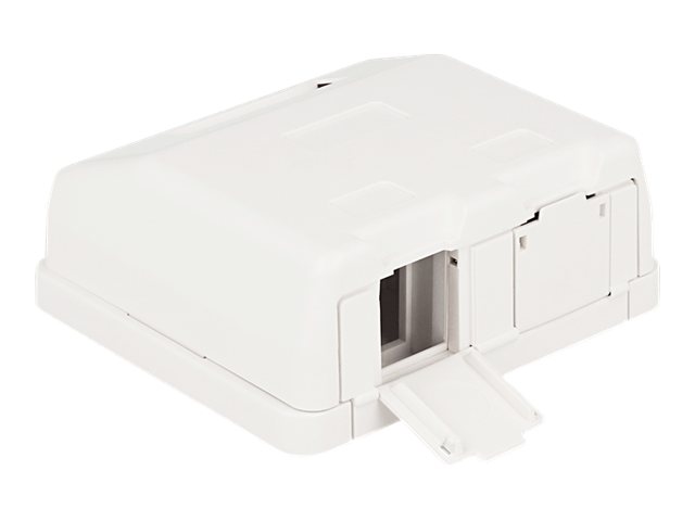 DELOCK Keystone Leergehäuse 2 Port mit Staubschutz