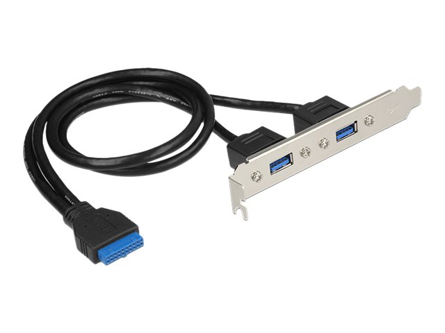 DELOCK Slot bracket - USB-Konsole - USB