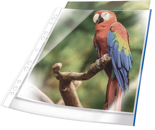 DURABLE Prospekthülle PREMIUM, DIN A4, PP, Rand blau