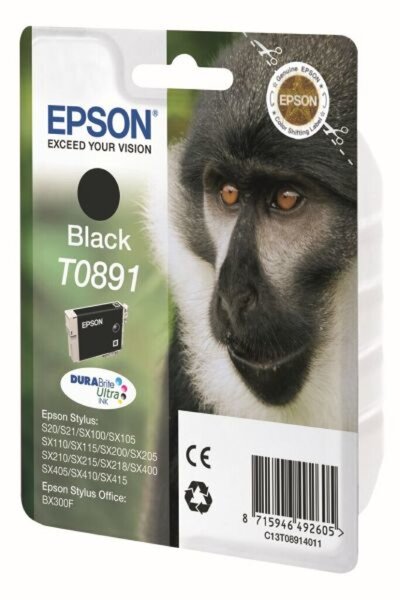 EPSON T0891 Schwarz Tintenpatrone