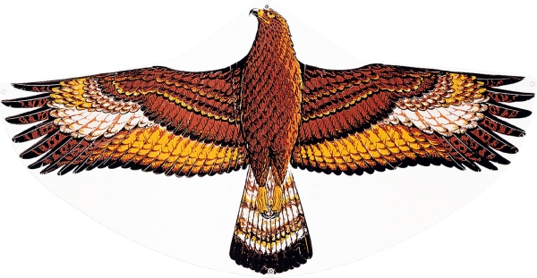 Einleinerdrachen Steinadler 112x68cm, Nr: 1146 Einleinerdrachen Steinadler 112x68cm, Nr: 1146