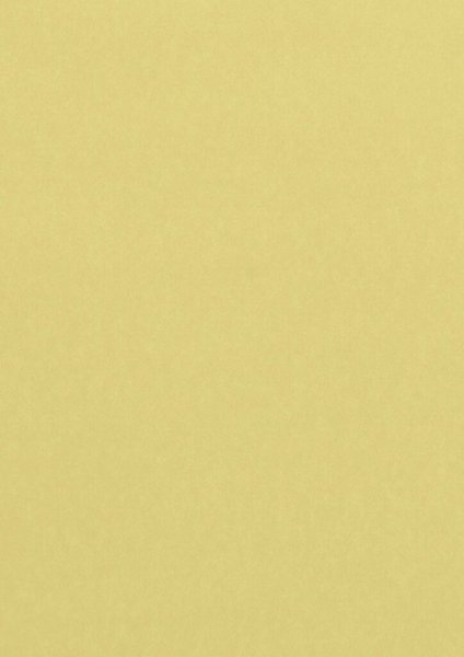 Farbiges Papier A4 120g Chamois 50 Blatt