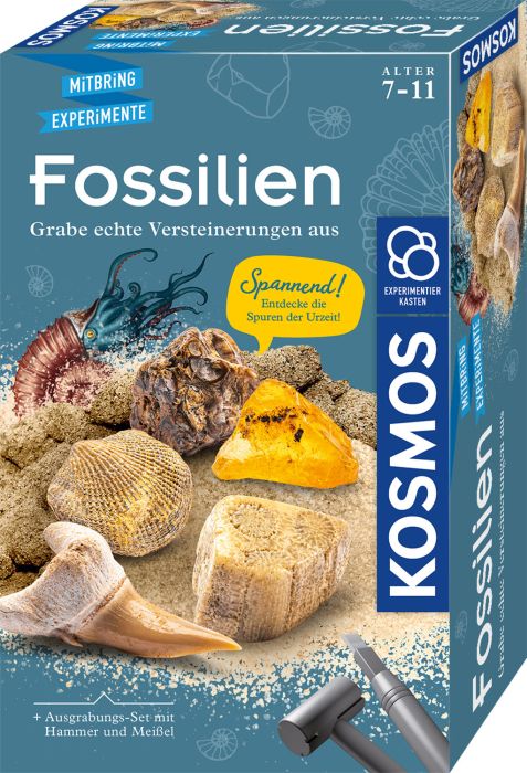 Fossilien, Nr: 657918