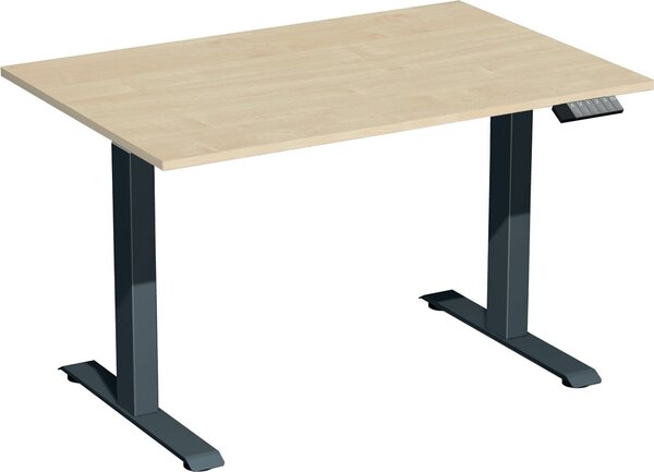 Elevate Basic Elektro-Hubtisch 1200x800x730-1230 ahorn/anthrazit