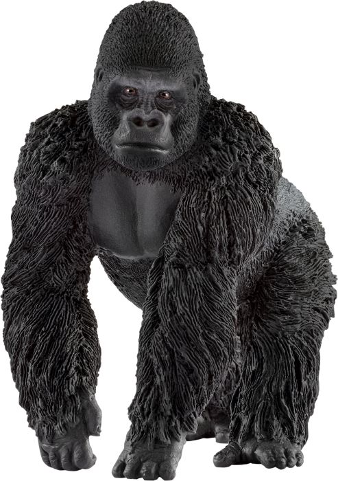 Gorilla Männchen, Nr: 14770