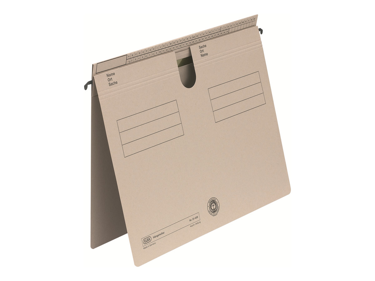 HAMELIN ELBA Hängehefter Sorte 81, überstehende Reiterfalz, grau Manilakarton 2