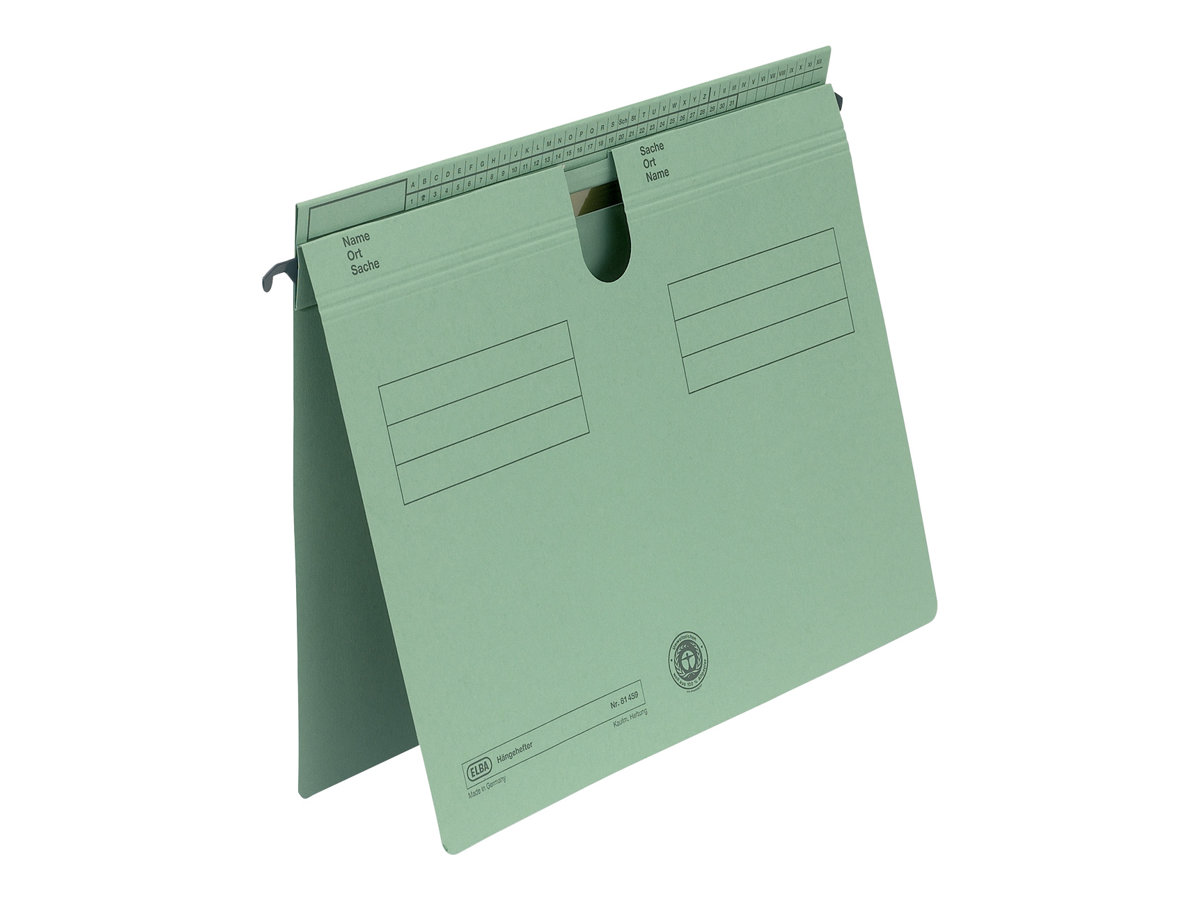 HAMELIN ELBA Hängehefter Sorte 81, überstehende Reiterfalz, grün Manilakarton 2