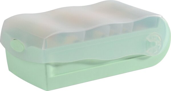 HAN Lernkartei CROCO, A8 quer, pastellgrün-transluzent