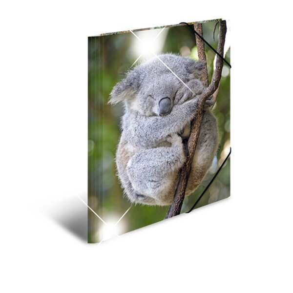 Sammelmappe Glossy A3 PP Koala 