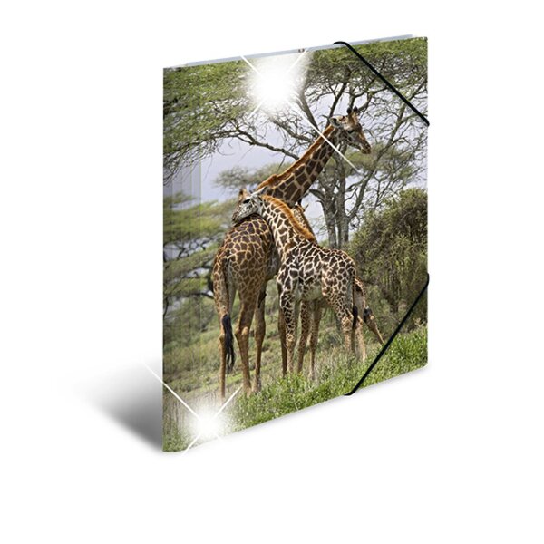 Sammelmappe Glossy A4 PP Giraffe 
