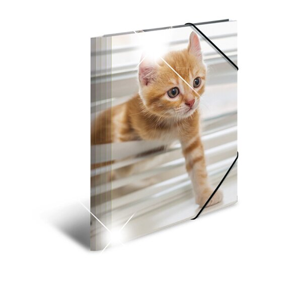 Sammelmappe Glossy A4 PP Katzen 