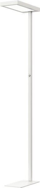 Hansa LED-Stehleuchte LED Jaspis, weiß