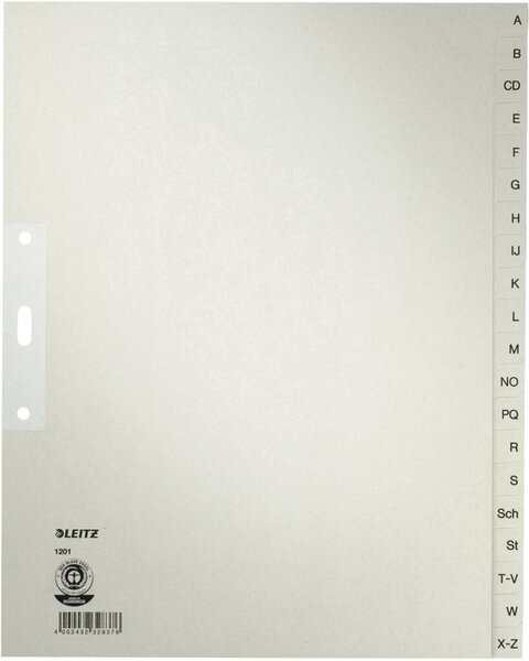 LEITZ Futterale für Archiv-Ordner 1190/1196, Karton, grau für Format DIN A4, fl