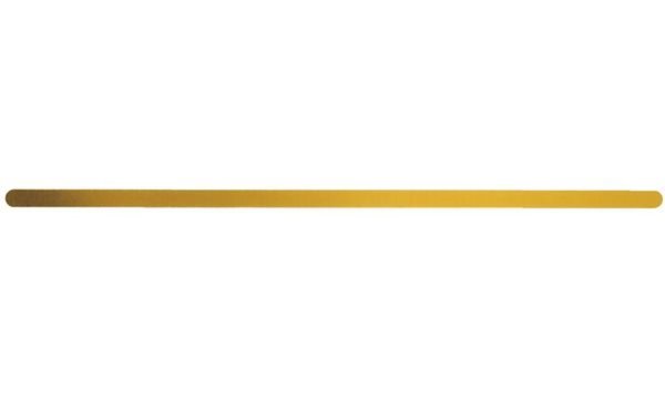LEITZ Metall-Aufreihband für ALPHA-Hängeregistratur goldfarben lackiert (1712-0