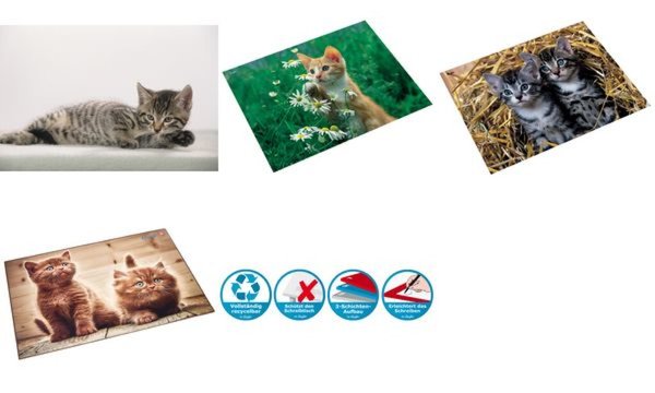Läufer Schreibunterlage Katze grau, 400 x 530 mm (5051015)