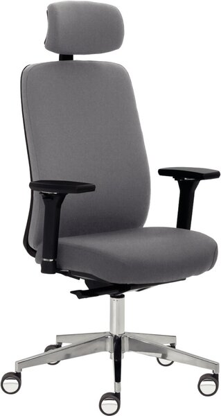 Drehstuhl myTRITON, ergonomisch, Kopfstütze, grau, hoher Rücken,