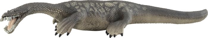 Nothosaurus, Nr: 15031