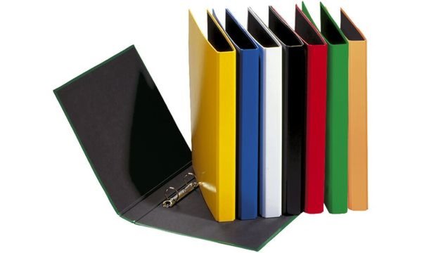 PAGNA Ringbuch Basic Colours, 2 R ing-Mechanik, grün (62060605)