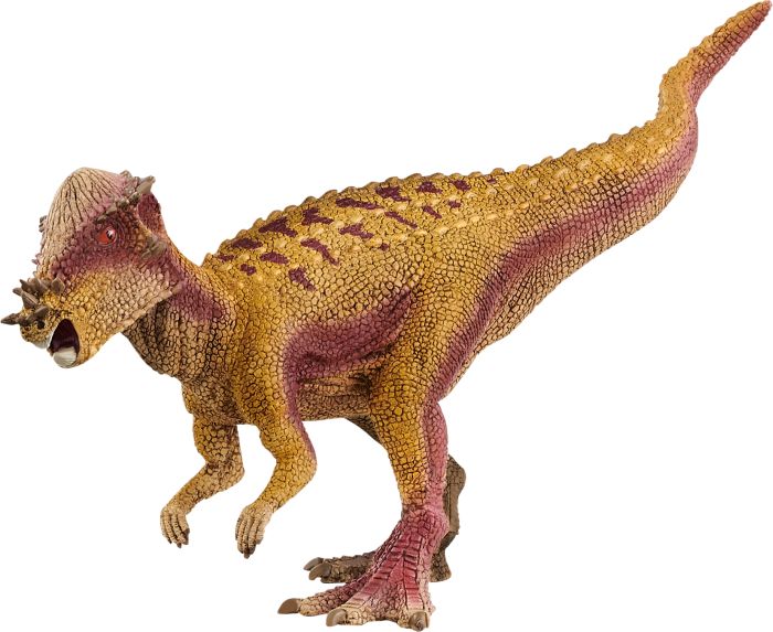 Pachycephalosaurus, Nr: 15024