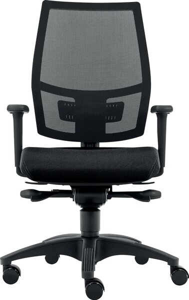 Bürodrehstuhl Ergo Mesh schwarz mit 2D- Armlehen, Teppichbodenrollen