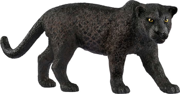 Schwarzer Panther, Nr: 14774