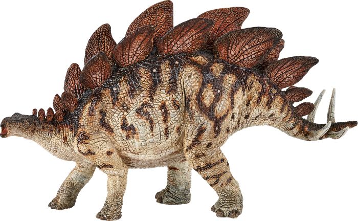 Stegosaurus, Nr: 55079