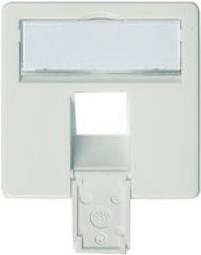 TELEGÄRTNER Dose,Zentralplatte, 50x50mm für 1xRJ45, Alpinweiss,