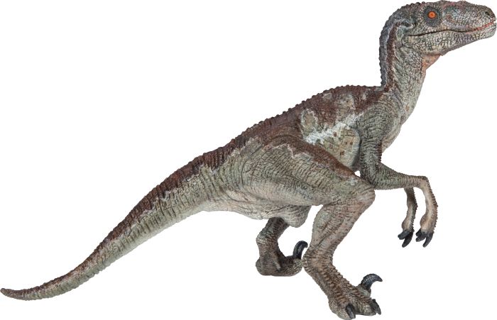Velociraptor, Nr: 55023