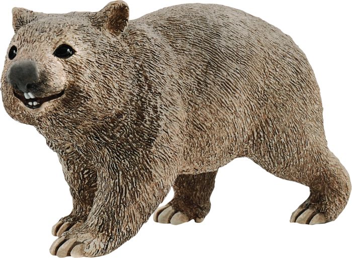 Wombat, Nr: 14834