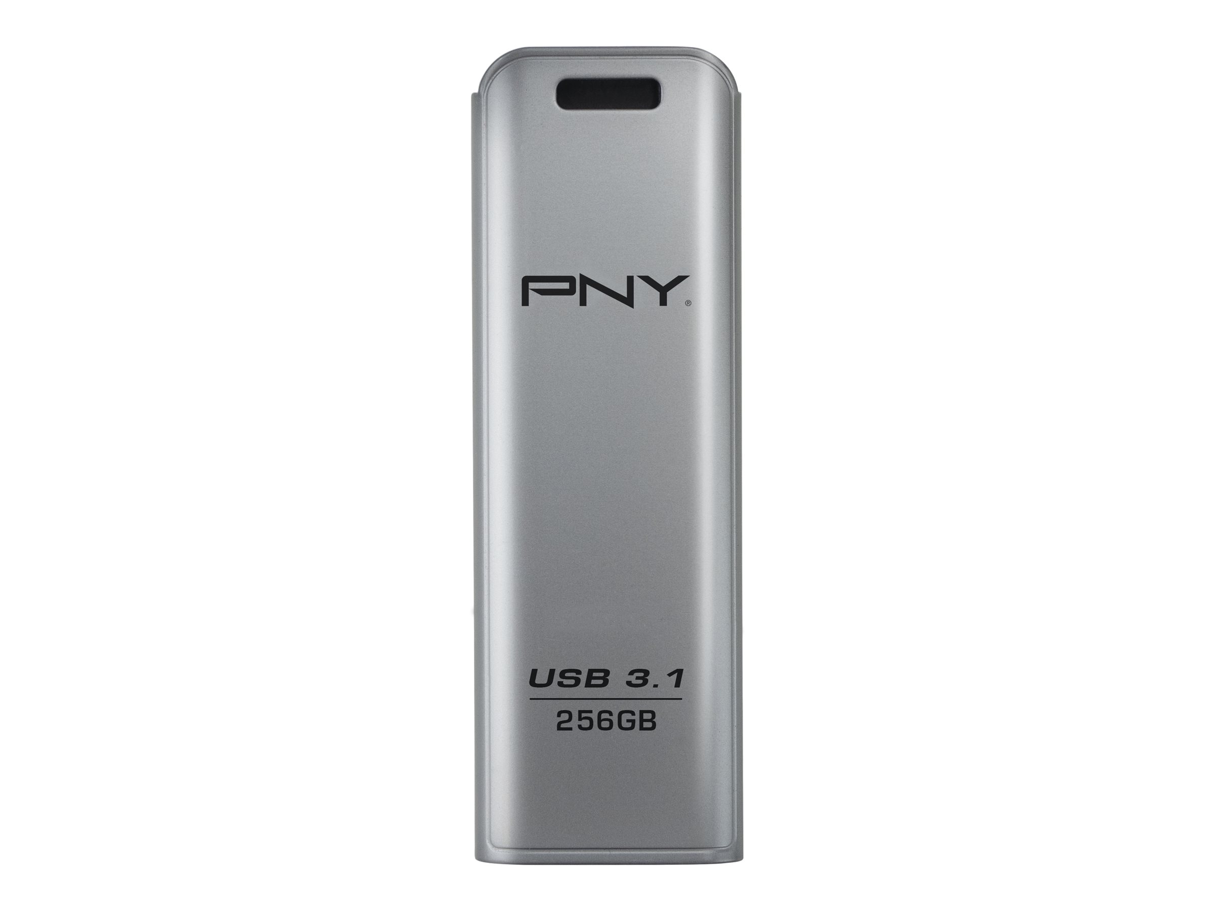PNY ELITE STEEL 3.1 256GB