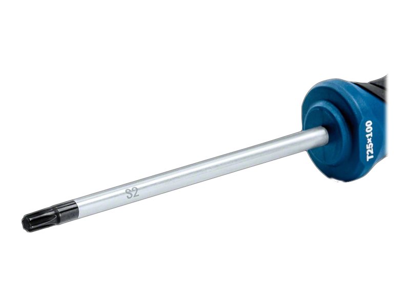 BOSCH Professional Schraubendreher TX 25 x 100