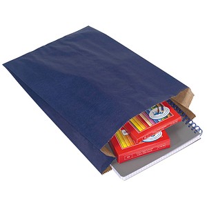 Image 100 VP Faltenbeutel blau 20,0 x 32,0 cm