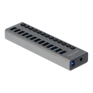 Image DeLOCK USB-Hub SuperSpeed 13-fach grau
