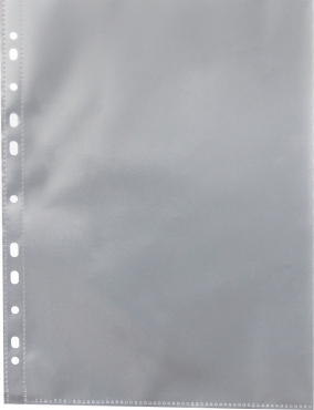 Image Prospekthülle A4 nachhaltig, Recycling PP 100 my, mit Abheftrand, Schmalseite oben offen, Farbe: transparent genarbt - 100 Stück