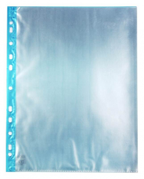 Image EXXO by HFP Sichtbuch / Sichthüllenmappe, A4, aus PP, mit 12 fest eingeschweißten und oben offenen Klarsichthüllen, mit blauer Abheftleiste in EURO-Lochung, Farbe: transparent – 1 Stück