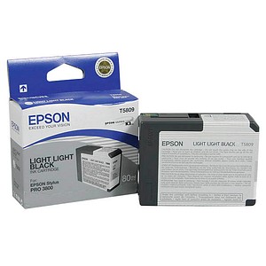 Image EPSON T5809 light light schwarz Tintenpatrone