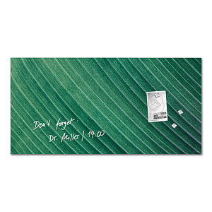 Image sigel Glas-Magnettafel Artverum Design Palm Leaf, (B)910 mm