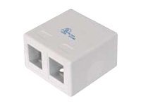 Image DIGITUS 2 Port Consolidation Point Digitus Professional AT-AG 302A-WH Unbestückt