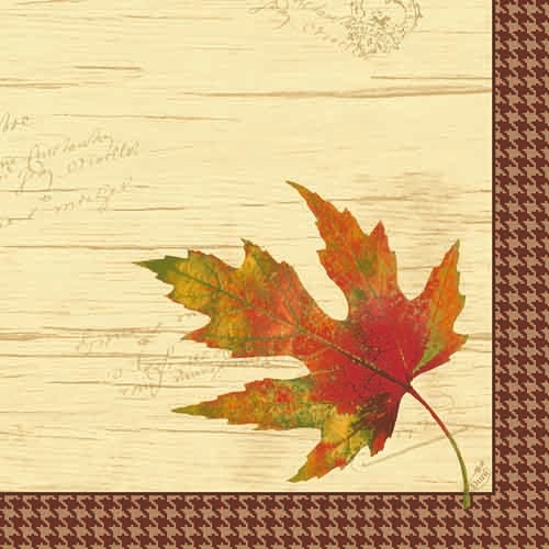 Image >>Artikel nicht mehr lieferbar Dunilin Servietten 40 x 40 cm, 50 Stück/Pack | mit Motiv FlavourHerbstmotiv: beige mit braunem Rand und buntem Blatt