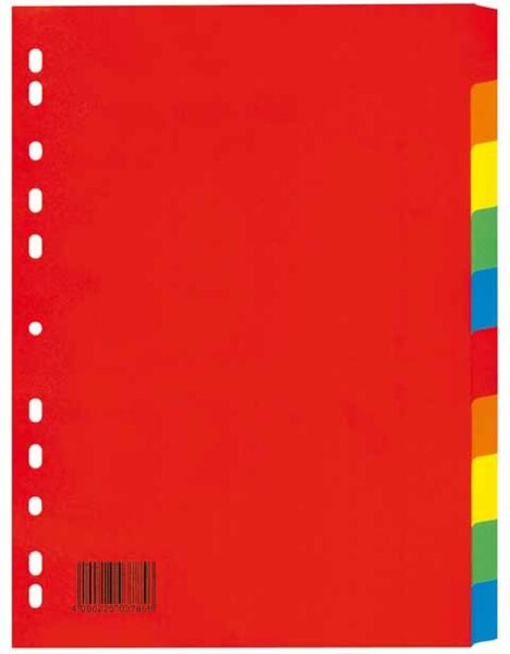 Image Register A4 10tlg Karton 25er Pack