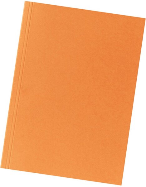 Image Aktendeckel 250g Manila-RC-Karton 100% Recycling mit blauer Engel